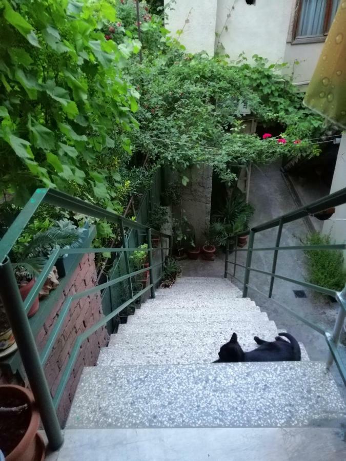 Guesthouse Different Тбилиси Екстериор снимка